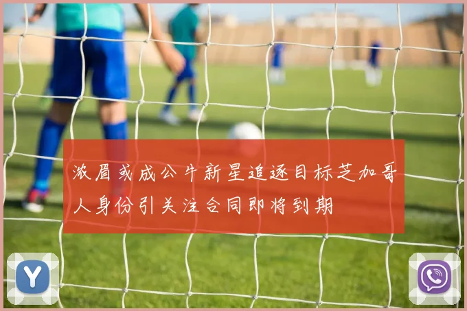 浓眉或成公牛新星追逐目标芝加哥人身份引关注合同即将到期