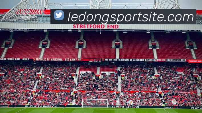 乐动体育平台生态图