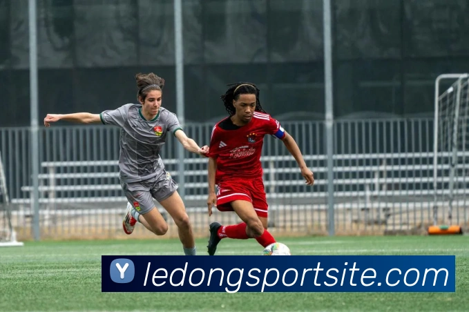 乐动体育APP 封面图