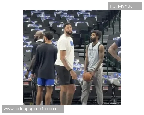 内姆哈德与浓眉搭档展现强大实力欧文缺席却依然净效率高达451