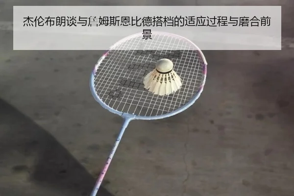 杰伦布朗谈与詹姆斯恩比德搭档的适应过程与磨合前景（LDSPORTS）